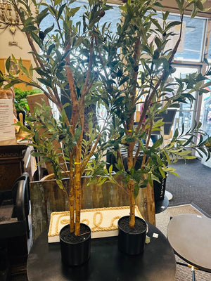 Faux Olive Tree in Pot by Miss Daisy's Consignment & Auction House