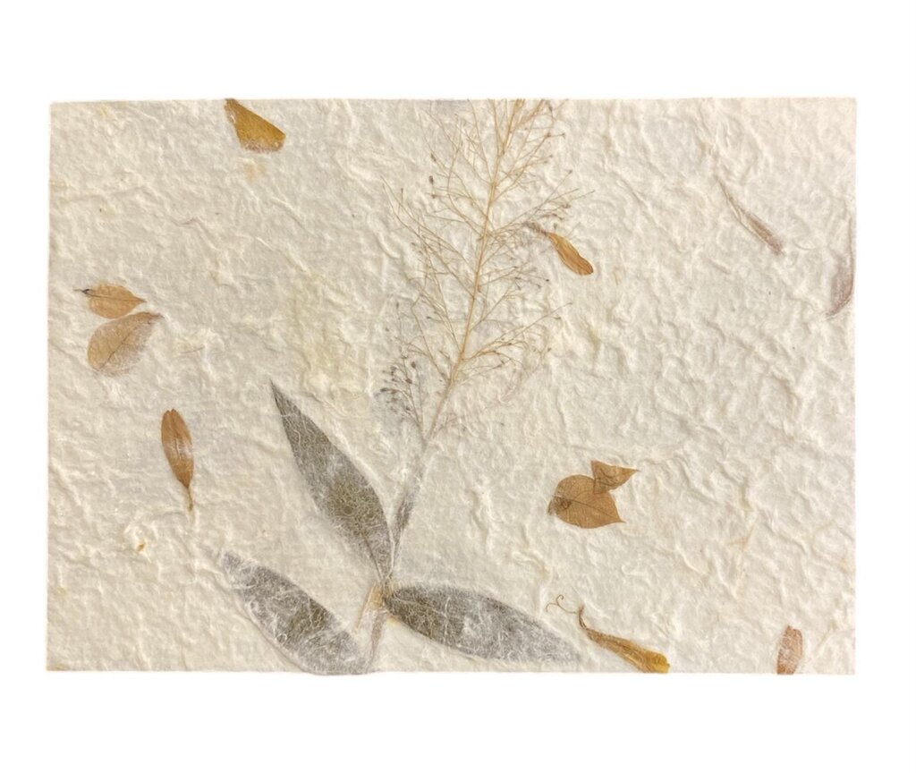 Handmade Botanical Plant Fiber Stationary Set (Set of 15 Cards & Envelopes)