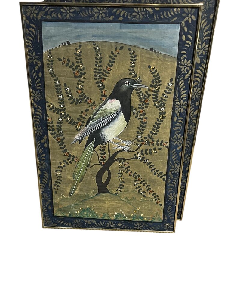 Mughal Style Magpie Bird Painting