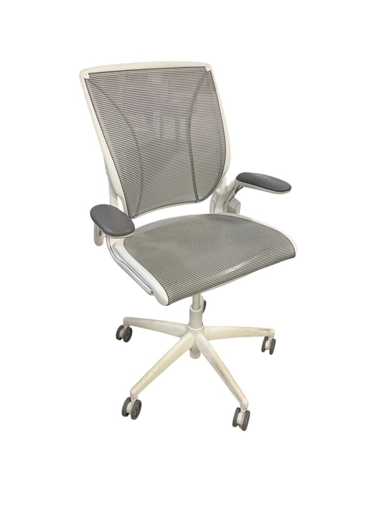 Humanscale Diffrient World Mesh Office Chair Gray