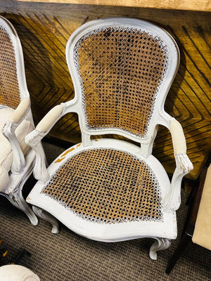 French Cane Armchair With Cushions(pair)