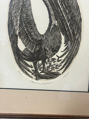 J. D. Mayhew ¨Brown Pelican¨ Ltd Edition 20/125
