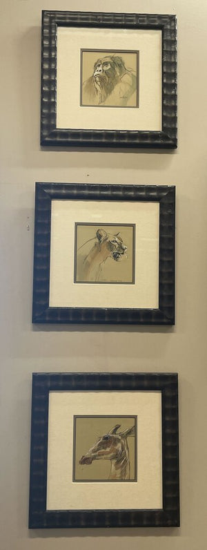 African Wildlife Drawings- Framed w/ HQ Glass Signed