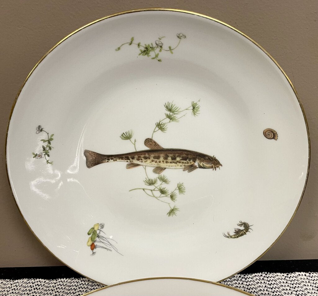 Richard Ginori Fish Quenelle Smooth Pattern Plates (4-Pcs)