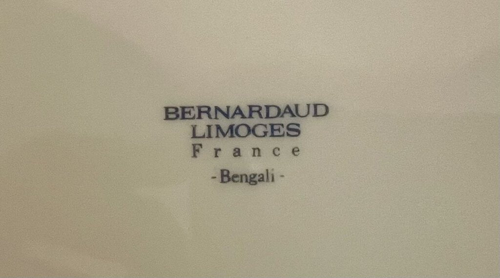 Bernardaud Limoges Bengali Rimmed Soup Bowl 9.25"
