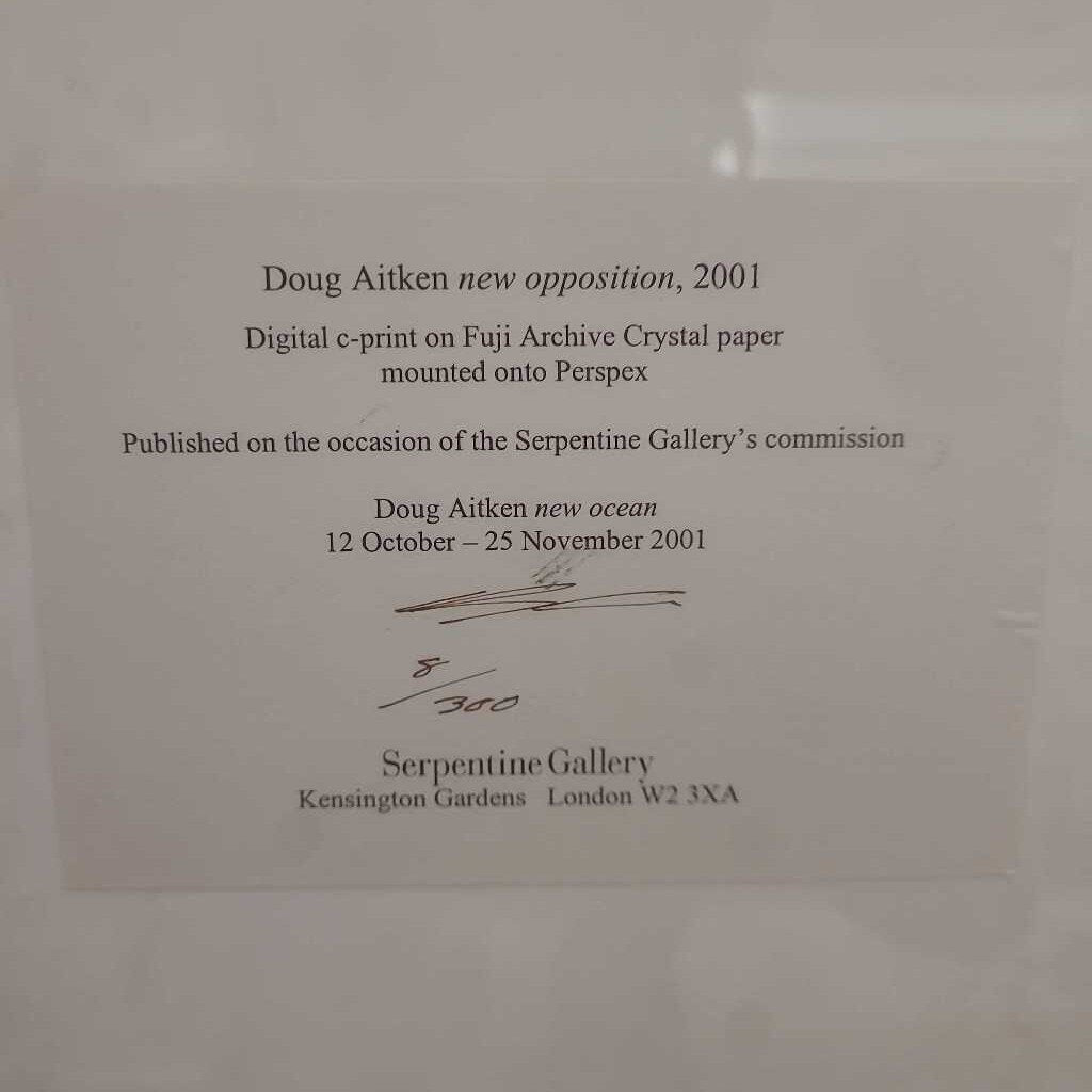 Doug Aitken "New Opposition" Digital C-Print 8/300 18x20