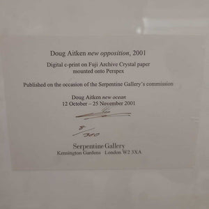 Doug Aitken "New Opposition" Digital C-Print 8/300 18x20