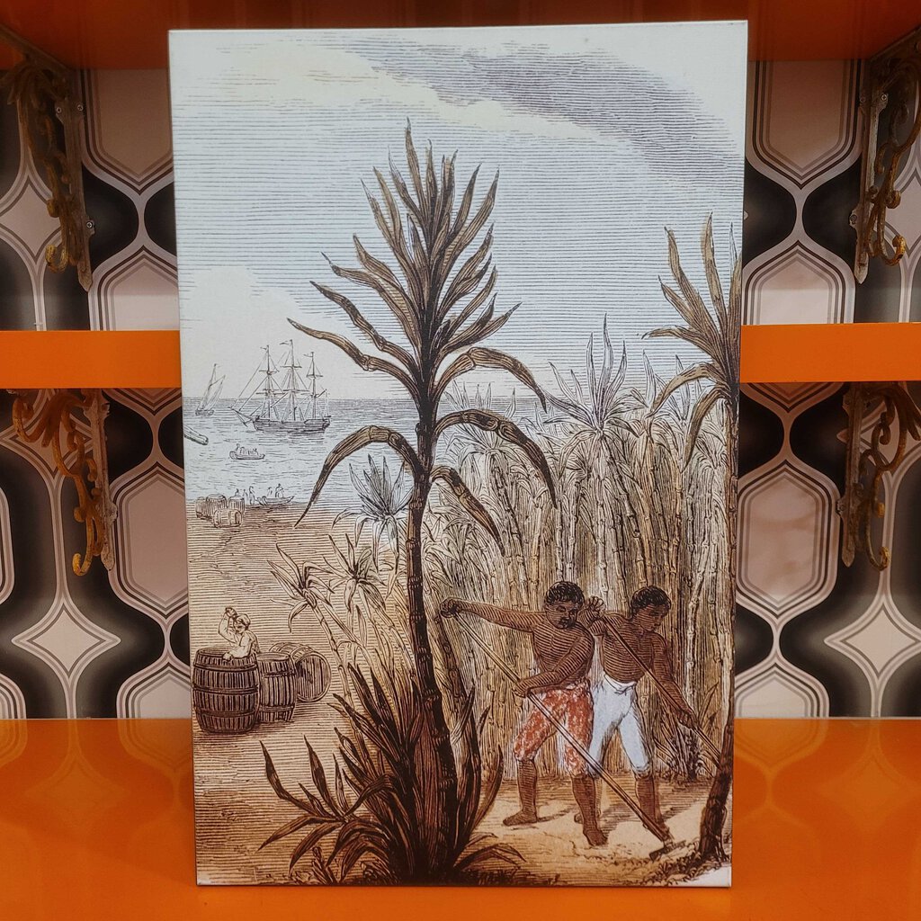 Slaves Cultivating Sugar Cane Canvas Print 19x30